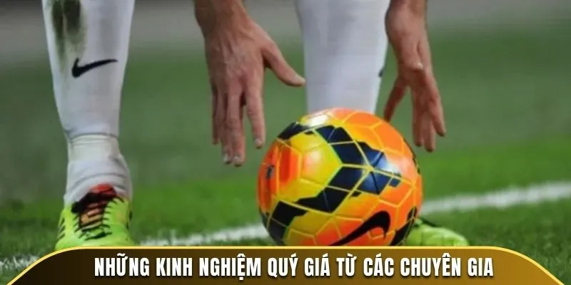 Những mẹo và kinh nghiệm từ giới chuyên môn