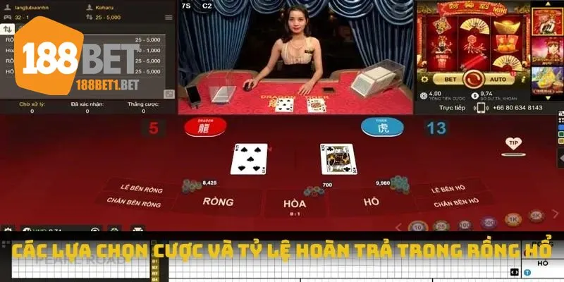 Các lựa chọn cược và tỷ lệ hoàn trả trong rồng hổ